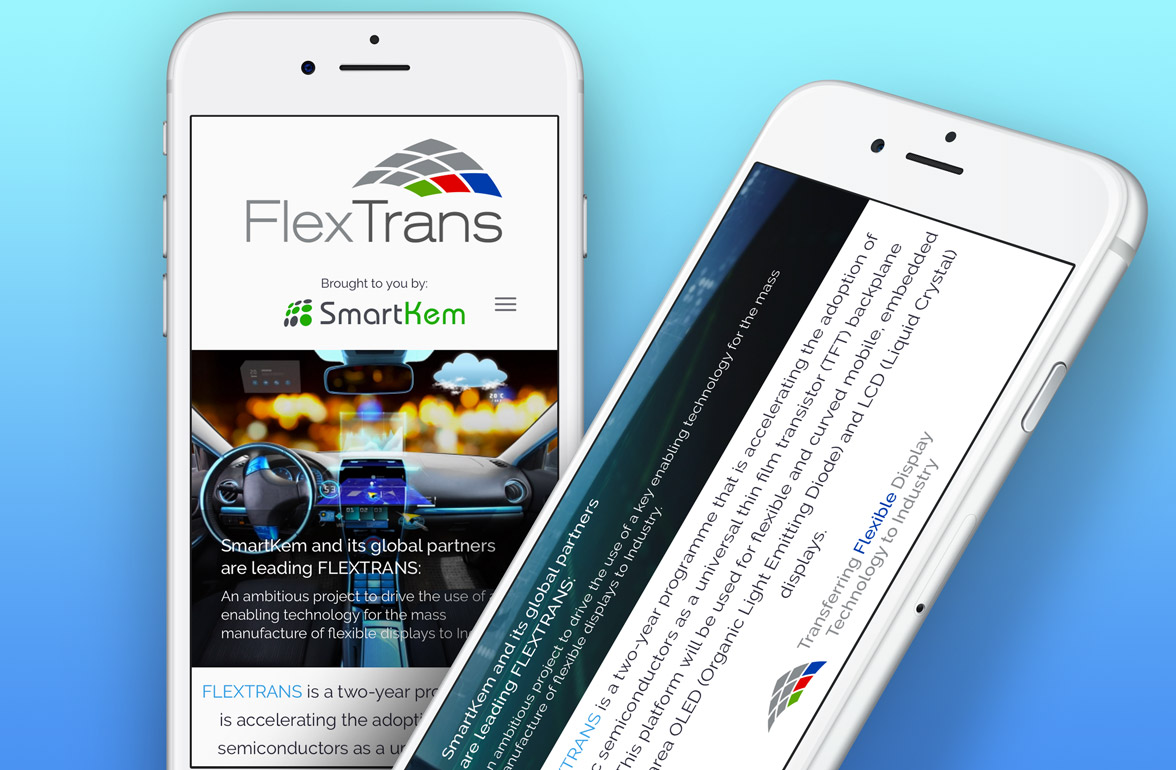 FlexTrans Branding