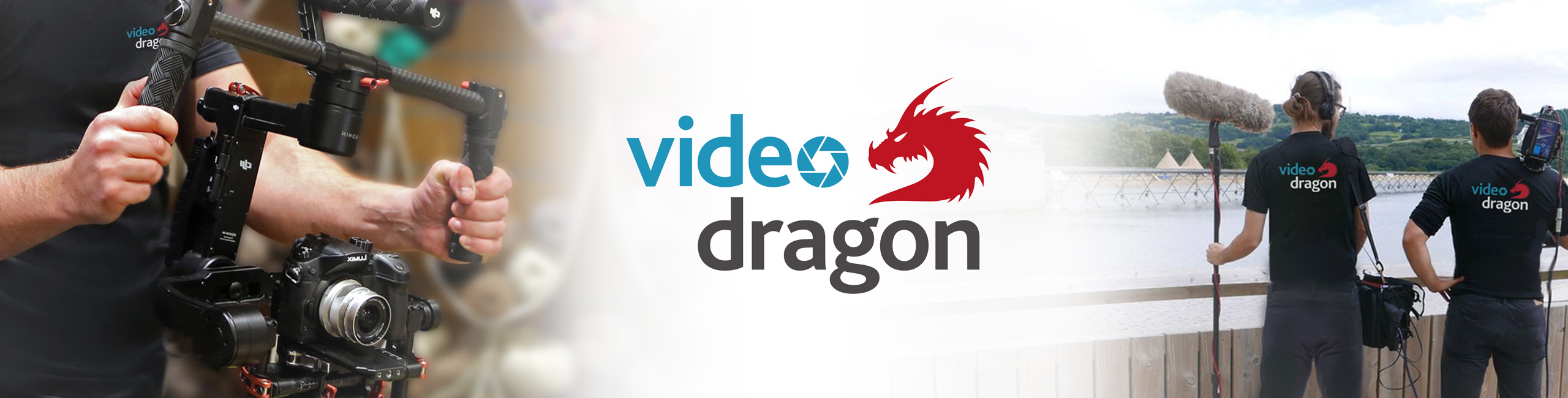 Video Dragon Branding