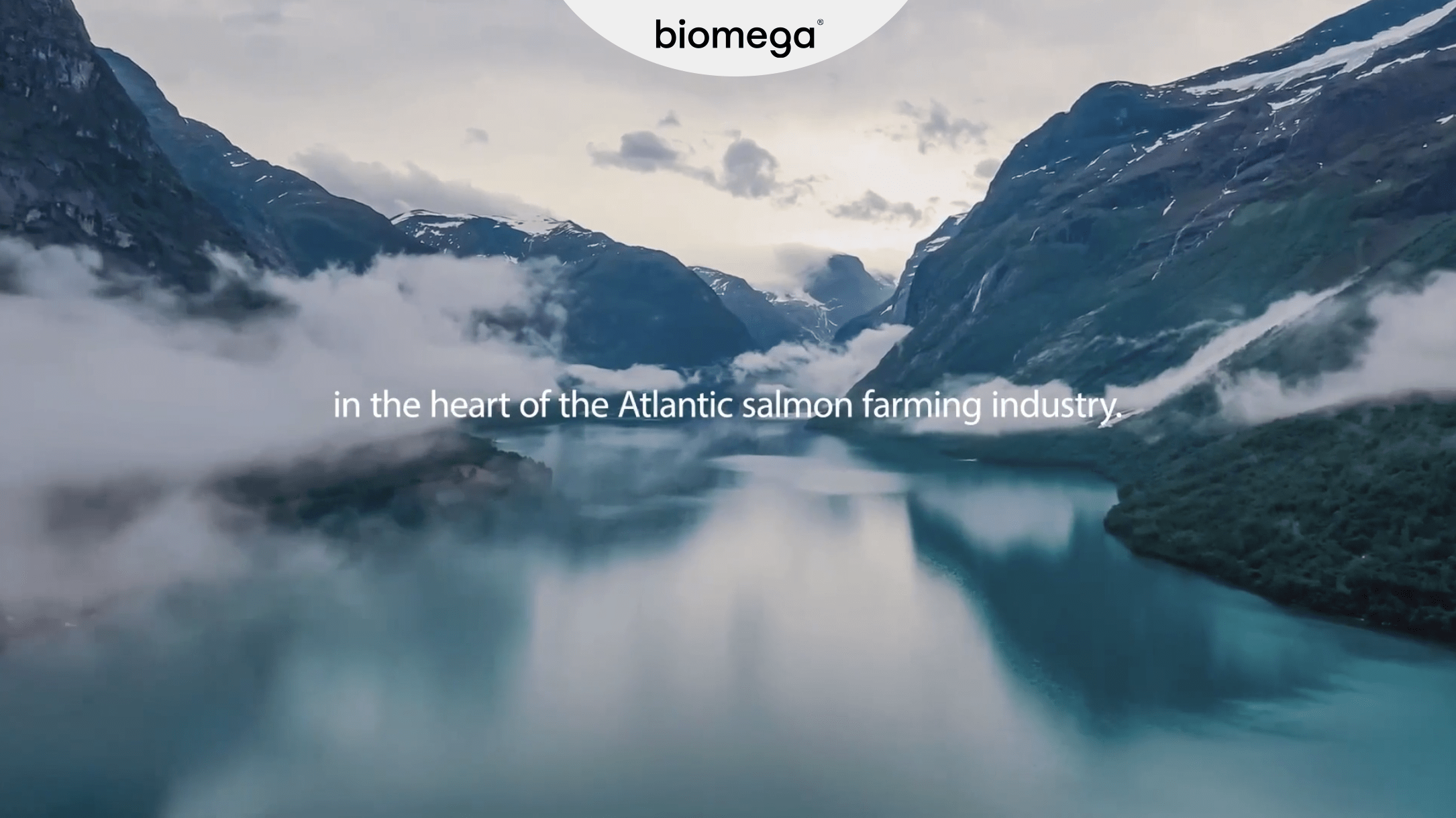 Biomega Video